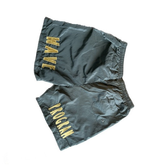 Wave Program Shorts